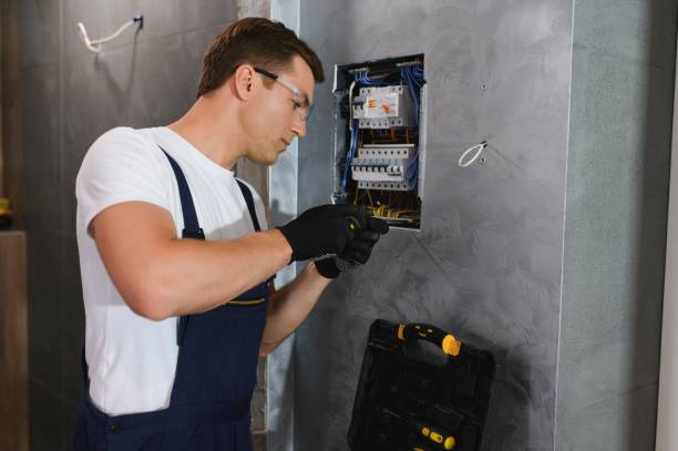 Best Local Electrician Companies  in Vermillion, SD